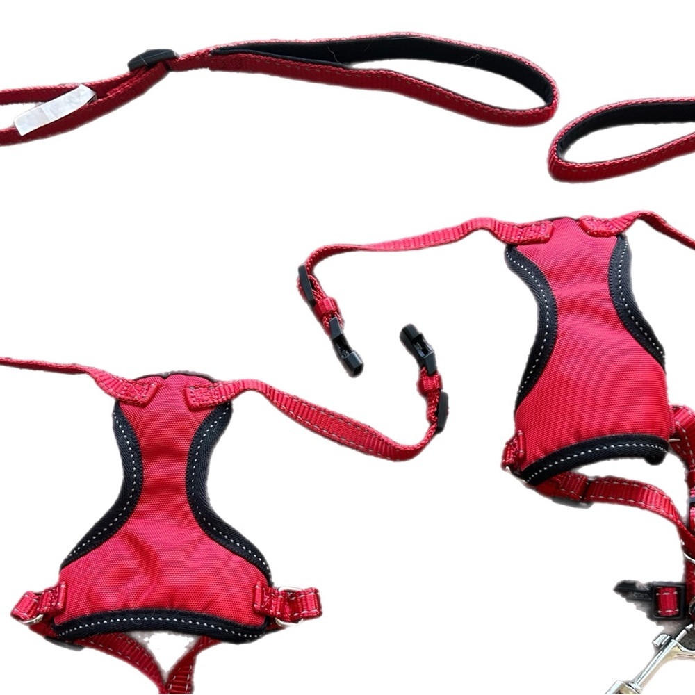 Red Cat Pet Harness and Leash Set